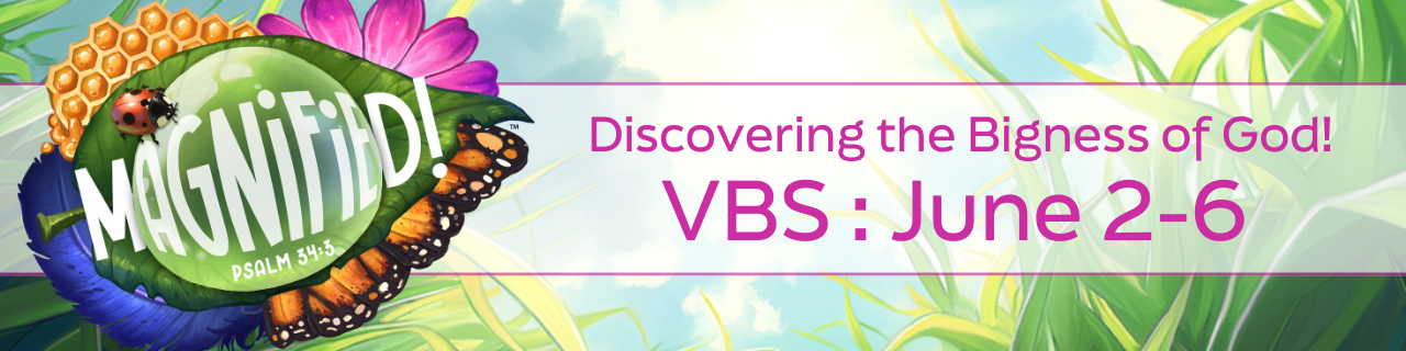VBS 2025
