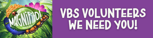 VBS Vols 2025 article
